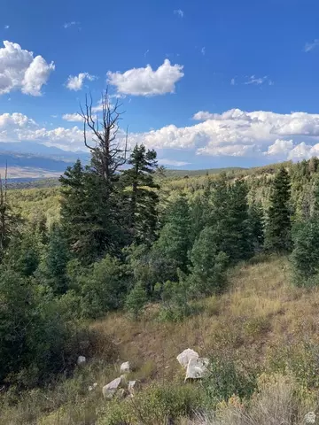 22045 N 143779 E #123, Fairview, UT 84629 photo 14