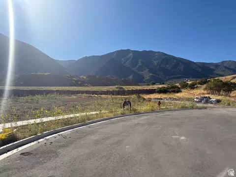 1605 S 920 E #67, Salem, UT 84653 photo 4