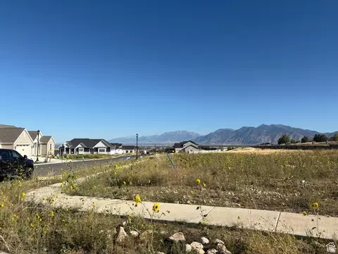 1605 S 920 E #67, Salem, UT 84653 photo 3