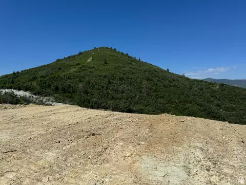 445 Storm Mountain Dr #445D, Fairview, UT 84629 photo 8