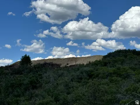 445 Storm Mountain Dr #445D, Fairview, UT 84629 photo 18