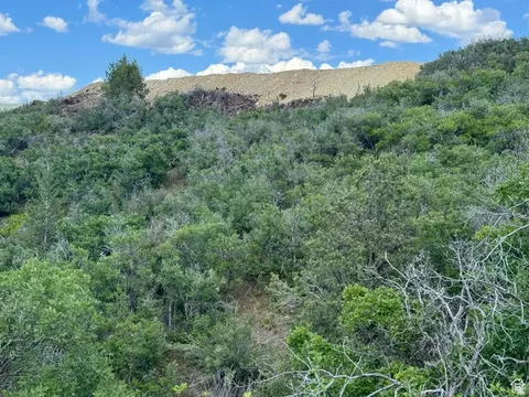 445 Storm Mountain Dr #445D, Fairview, UT 84629 photo 17