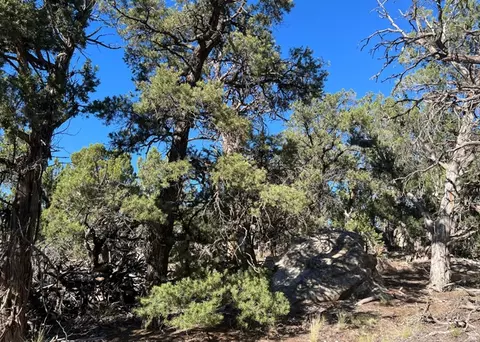 Undisclosed, La Sal, UT 84530 photo 13