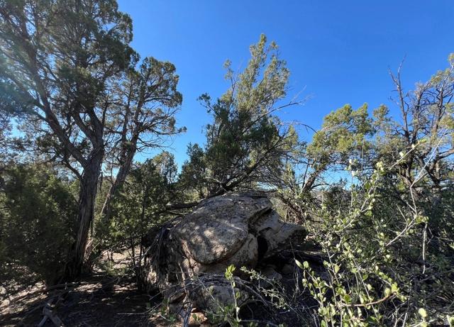 Undisclosed, La Sal, UT 84530