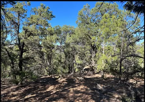 Undisclosed, La Sal, UT 84530 photo 6