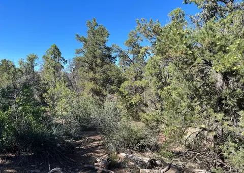 Undisclosed, La Sal, UT 84530 photo 12