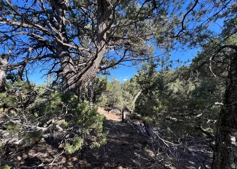 Undisclosed, La Sal, UT 84530 photo 24