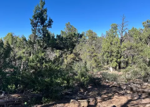 Undisclosed, La Sal, UT 84530 photo 11