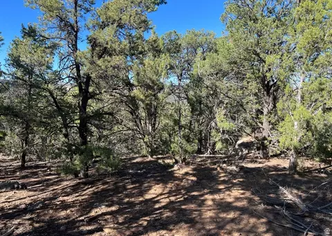 Undisclosed, La Sal, UT 84530 photo 8
