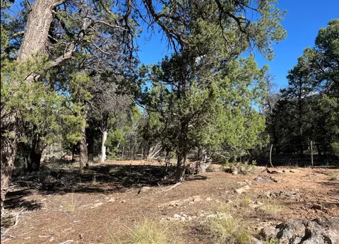 Undisclosed, La Sal, UT 84530 photo 10