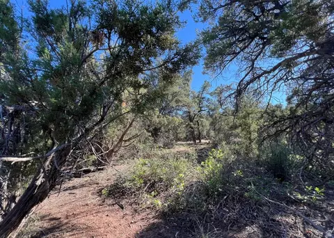 Undisclosed, La Sal, UT 84530 photo 28