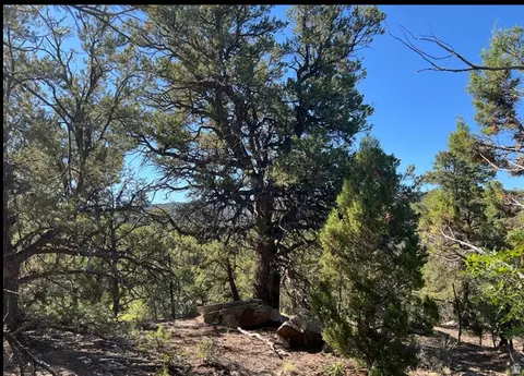 Undisclosed, La Sal, UT 84530 photo 5