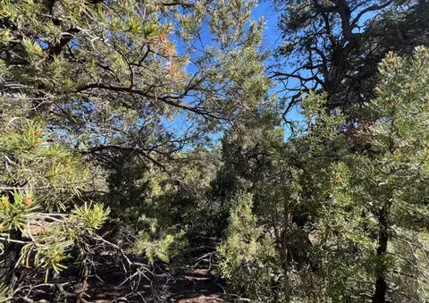 Undisclosed, La Sal, UT 84530 photo 23