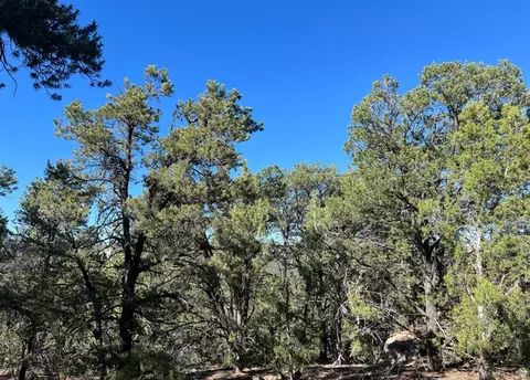 Undisclosed, La Sal, UT 84530 photo 7