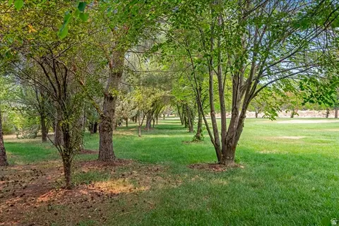 Other - 481 E Teancum Rd, Daniel, UT 84032 photo 4 of 12