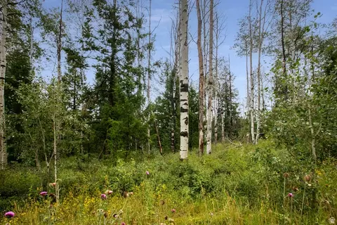 Undisclosed, Spanish Fork, UT 84660 photo 2