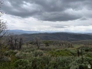 144 Bear Tooth Rdg, Coalville, UT 84017