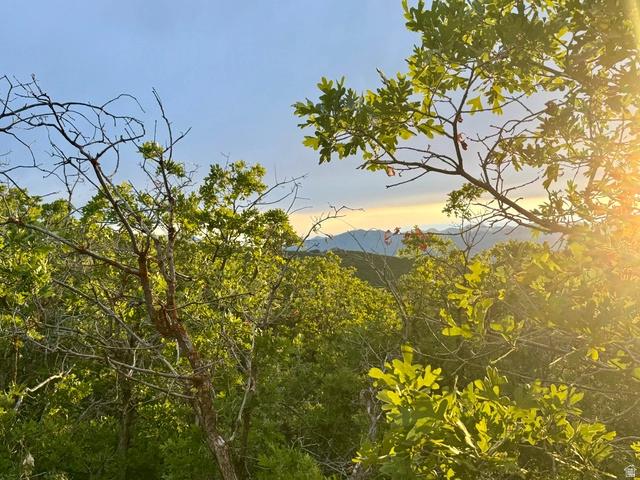 1556 S Tree Top Ln #353, Heber City, UT 84032