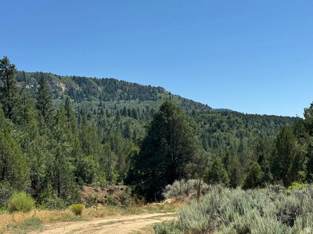 Undisclosed, Orderville, UT 84758