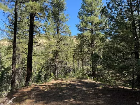 Undisclosed, Orderville, UT 84758 photo 4