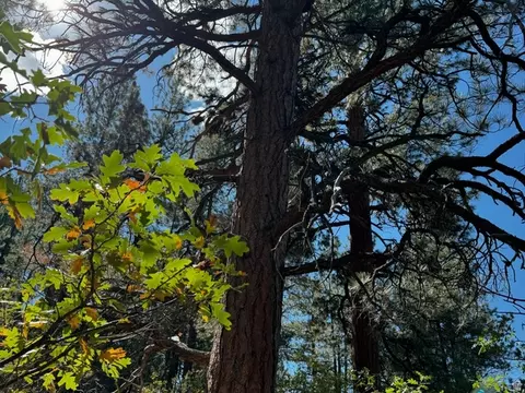 Undisclosed, Orderville, UT 84758 photo 5