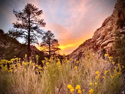 Other - 802 S 810 E, Teasdale, UT 84773 photo 9 of 11