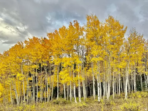 Other - 802 S 810 E, Teasdale, UT 84773 photo 8 of 11