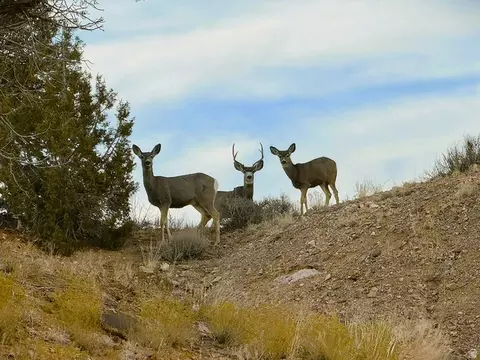 Other - 802 S 810 E, Teasdale, UT 84773 photo 8 of 12