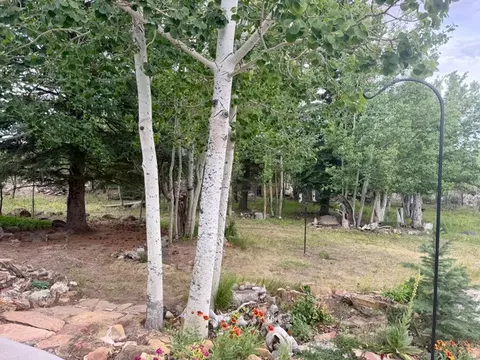 Exterior - 802 S 810 E, Teasdale, UT 84773 photo 12 of 16