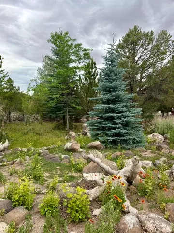 Exterior - 802 S 810 E, Teasdale, UT 84773 photo 13 of 16