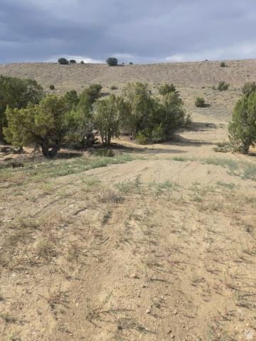 19774 W Toshas Trl #7, Duchesne, UT 84021