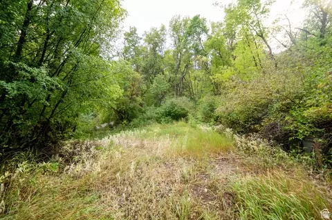 1422 Basel Dr #115, Midway, UT 84049 photo 11