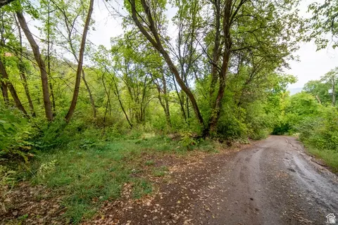 1422 Basel Dr #115, Midway, UT 84049 photo 2