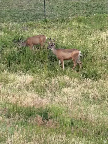 Other - 306 Spring Rd, Preston, ID 83263 photo 13 of 20