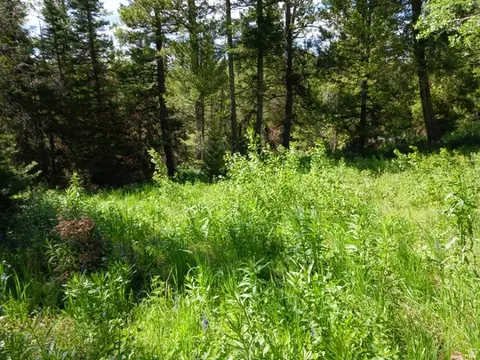 Baxter Sawmill Rd E, Hyrum, UT 84319 photo 8