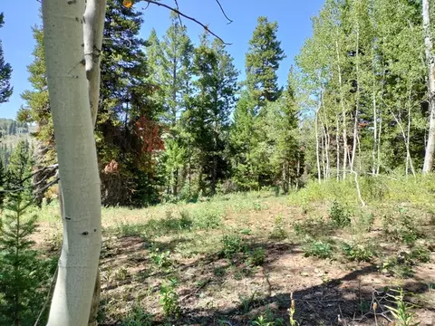 Baxter Sawmill Rd E, Hyrum, UT 84319 photo 5