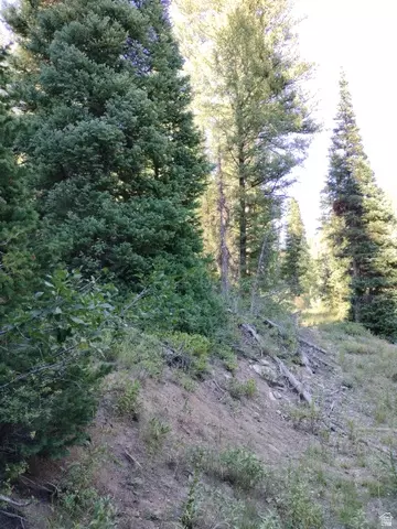 Baxter Sawmill Rd E, Hyrum, UT 84319 photo 7