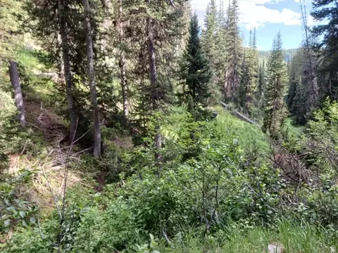 Baxter Sawmill Rd E, Hyrum, UT 84319 photo 2