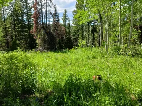 Baxter Sawmill Rd E, Hyrum, UT 84319 photo 3