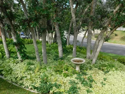 Exterior - 2148 S Carolyn Way, Bountiful, UT 84010 photo 10 of 14