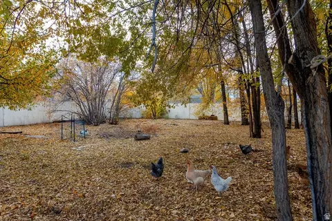 Exterior - 1757 N 1600 W, Mapleton, UT 84664 photo 7 of 11