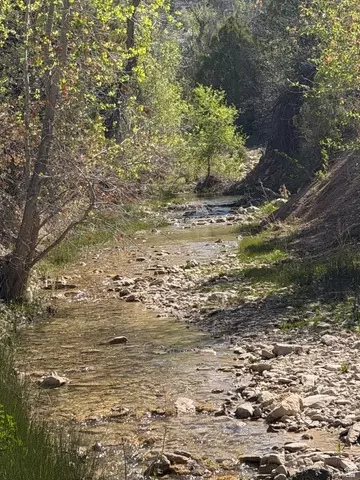 Undisclosed, Salina, UT 84654 photo 10