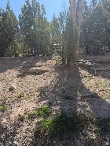 Undisclosed, Salina, UT 84654 photo 8