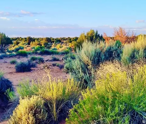 5929 W 350 S, Roosevelt, UT 84066 photo 4
