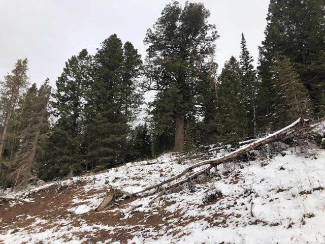 Undisclosed, Coalville, UT 84017
