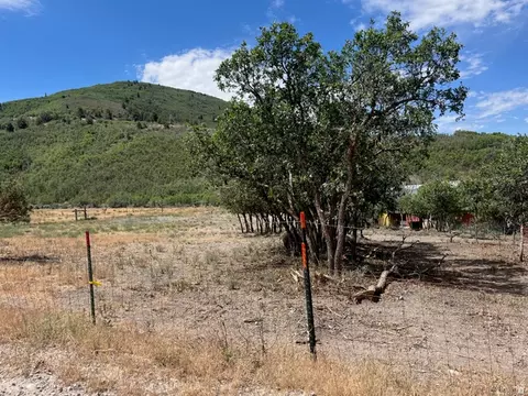 33980 N 10890 E, Fairview, UT 84629 photo 7