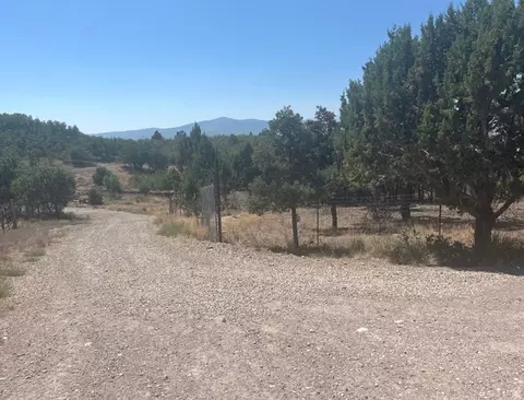 Exterior - 33980 N 10890 E, Fairview, UT 84629 photo 20 of 22