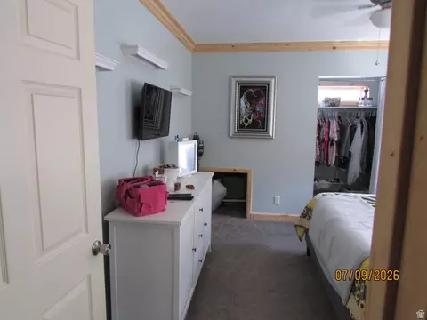 Other - 33980 N 10890 E, Fairview, UT 84629 photo 3 of 29