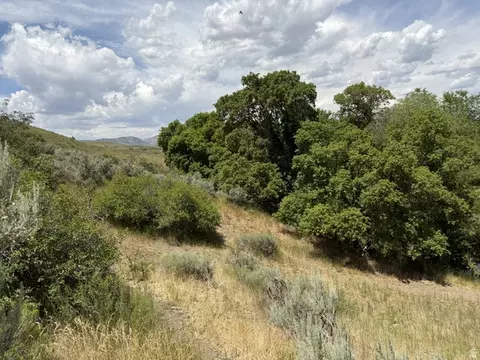 Undisclosed, Weston, ID 83286 photo 35
