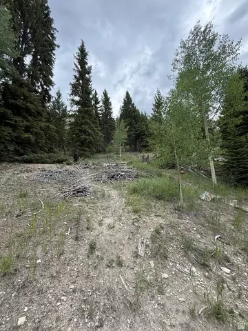 Other - 0, Duchesne, UT 84021 photo 2 of 10